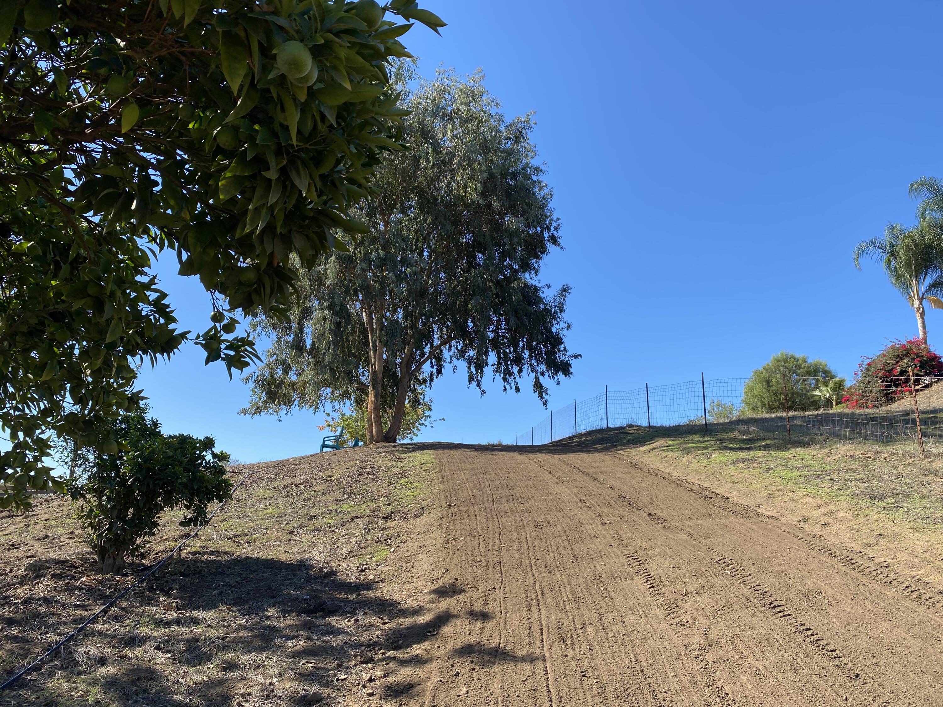 3705 La Canada Road Fallbrook, CA 92028 - Photo 51 of 68 a view of a yard with a tree