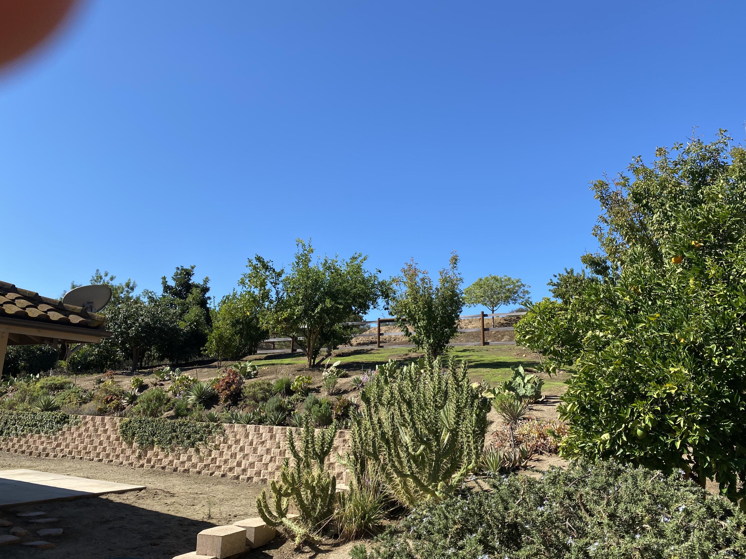 3705 La Canada Road Fallbrook, CA 92028 - Photo 56 of 68 a view of a lake with a tree in the background