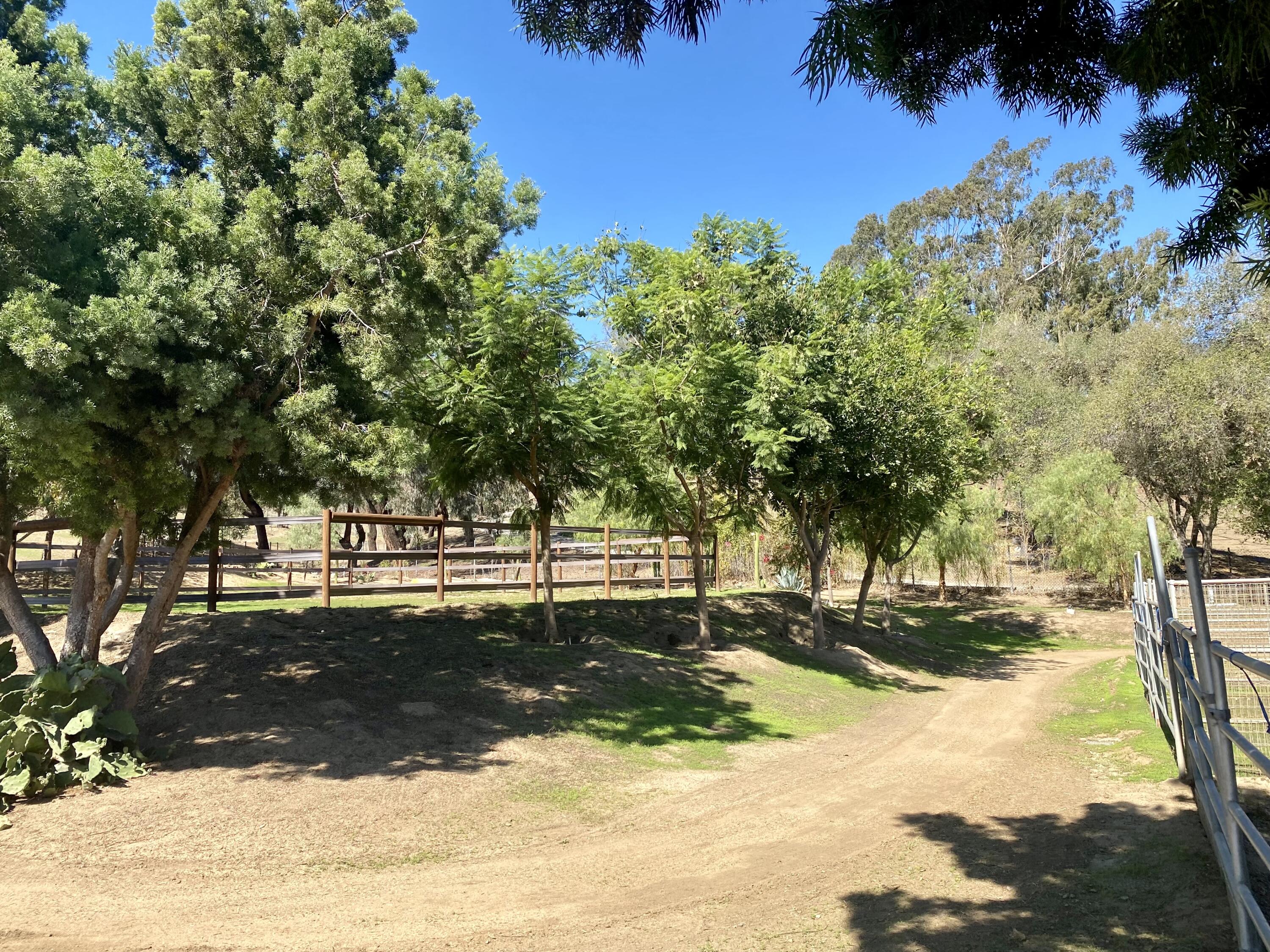 3705 La Canada Road Fallbrook, CA 92028 - Photo 7 of 68 a view of a yard with a tree