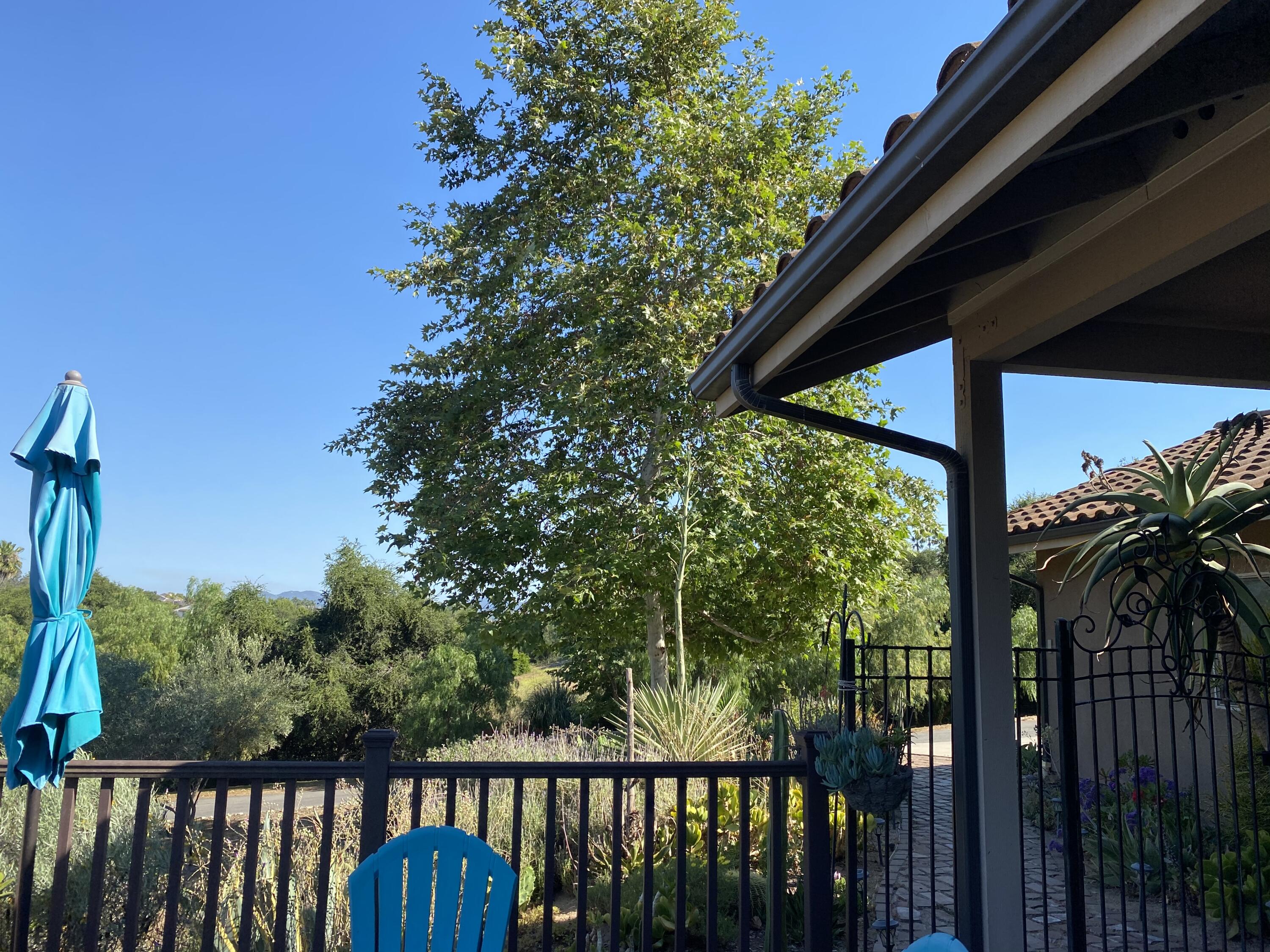 3705 La Canada Road Fallbrook, CA 92028 - Photo 68 of 68 E31F28D8-F3EF-4F61-821A-37836F99A04F