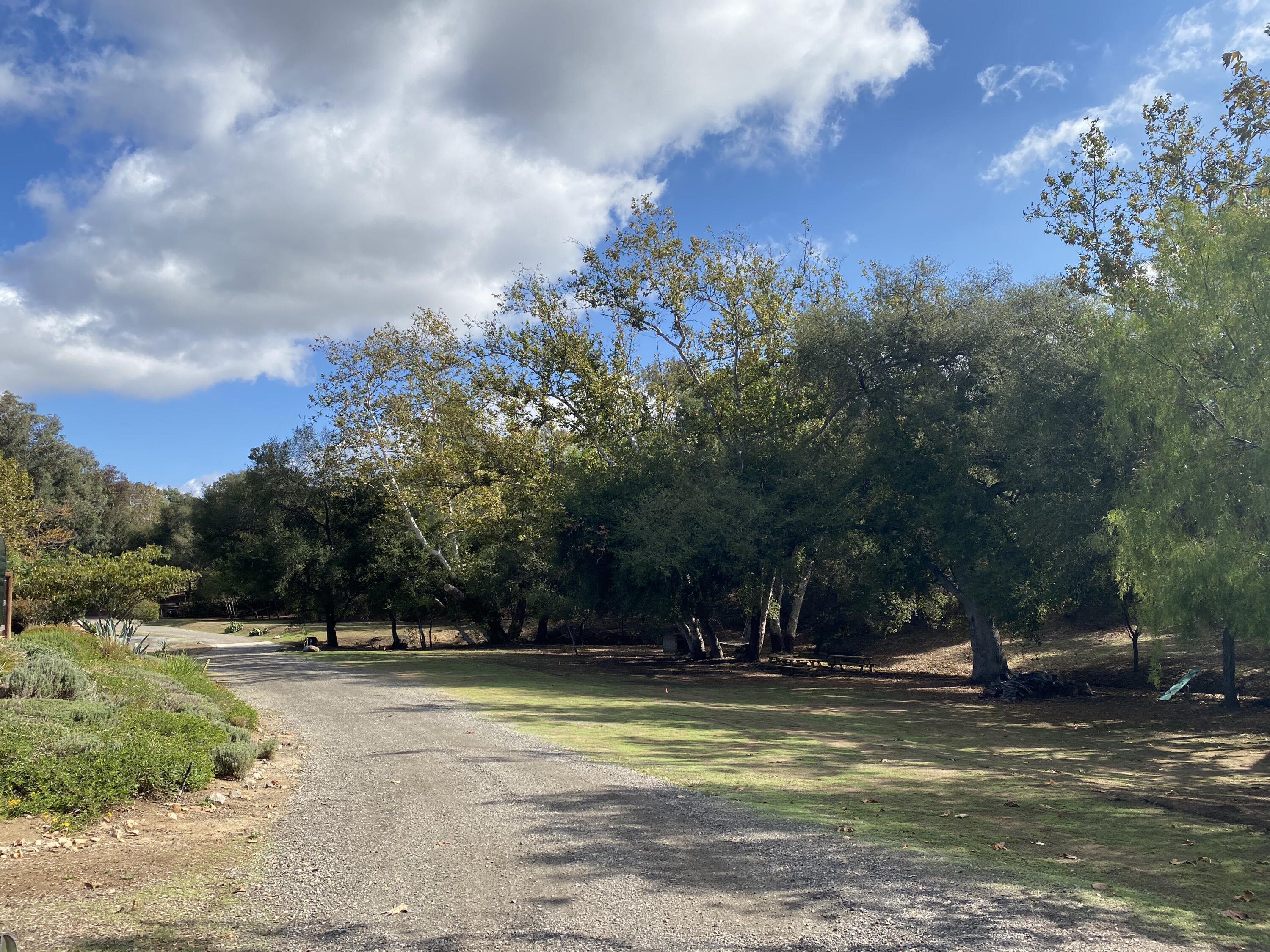 3705 La Canada Road Fallbrook, CA 92028 - Photo 10 of 68 a view of yard with swimming pool and trees