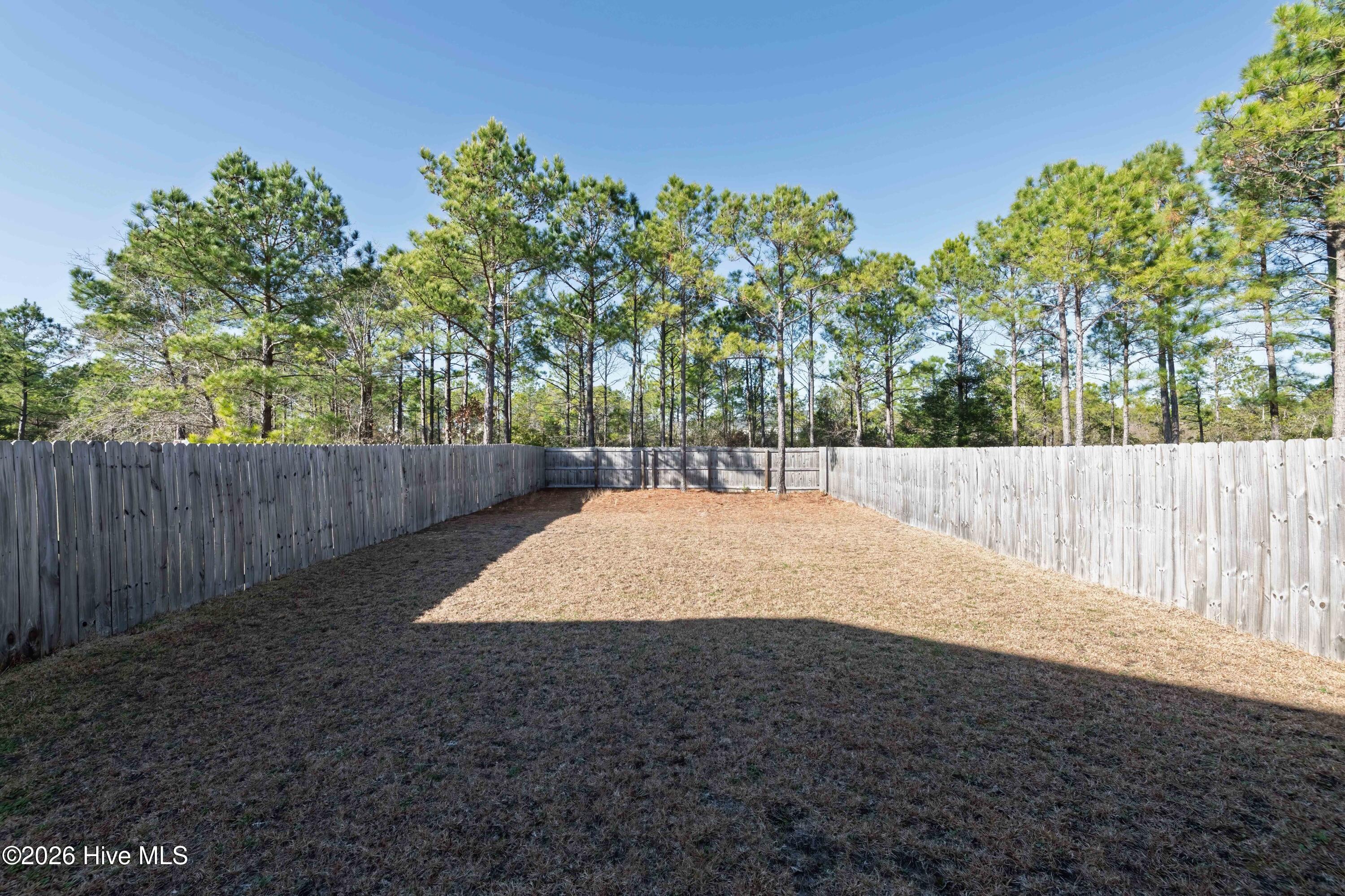 341 Frisco Way Holly Ridge, NC 28445 - Photo 40 of 48 Back yard