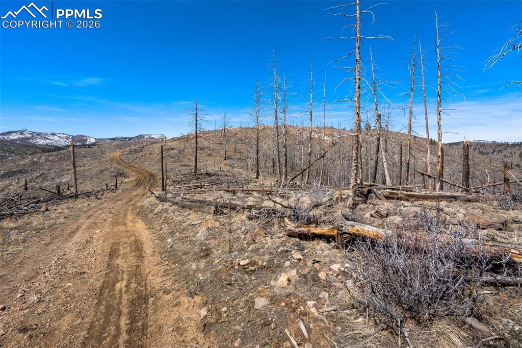 0 Rist Creek Road Bellvue, CO 80512 - Photo 4 of 12 a view of a backyard