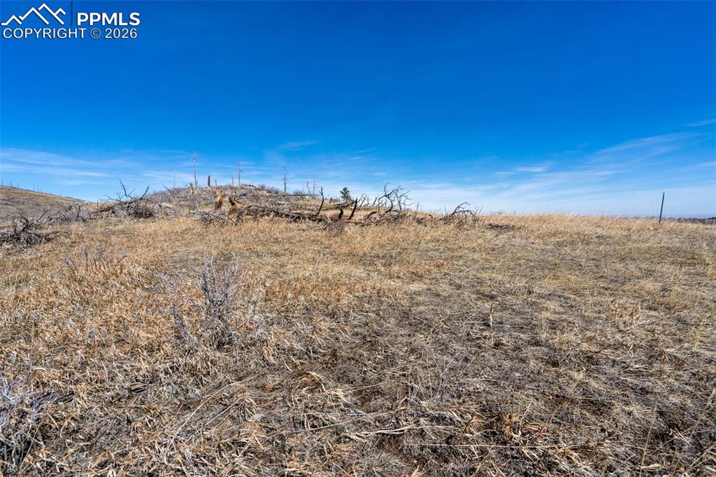 0 Rist Creek Road Bellvue, CO 80512 - Photo 8 of 12