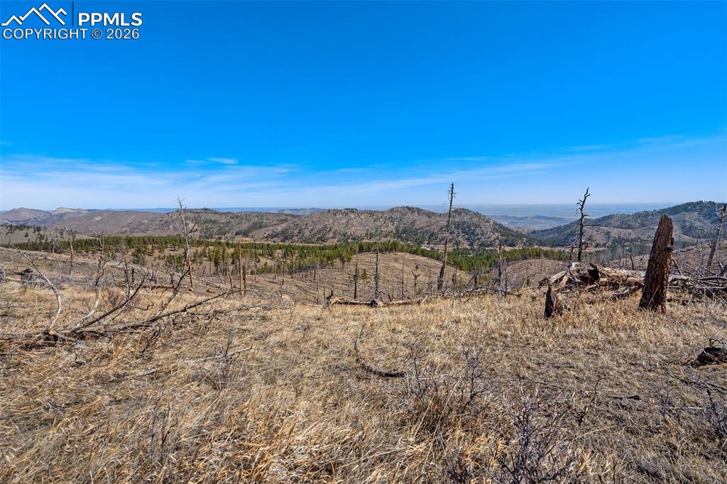 0 Rist Creek Road Bellvue, CO 80512 - Photo 9 of 12 a view of a lake with an outdoor space