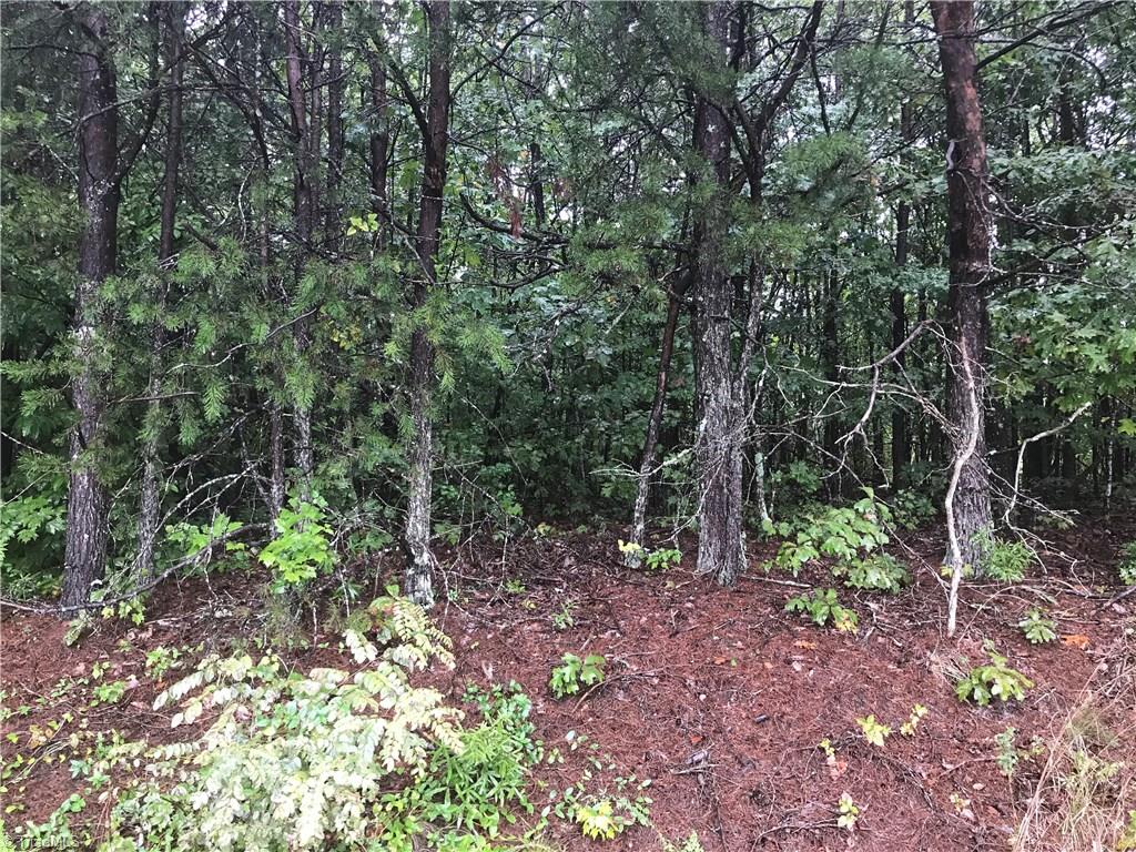 1 Hickory Fork Road Walnut Cove, NC 27052 - Photo 1 of 4 Gallery Image 1