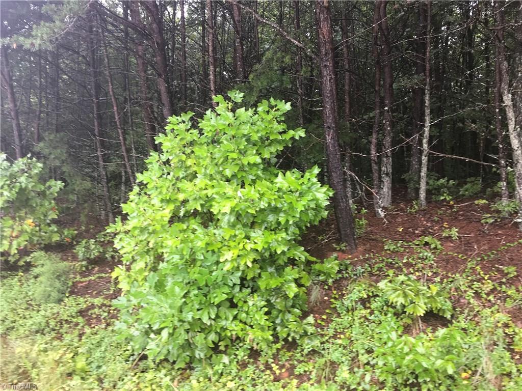 1 Hickory Fork Road Walnut Cove, NC 27052 - Photo 2 of 4 Gallery Image 2