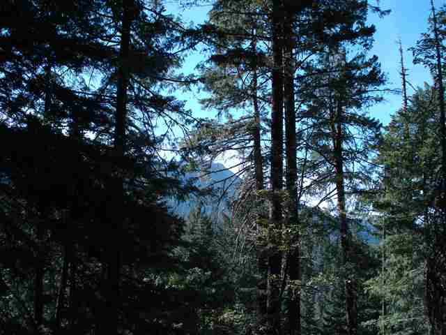 2500 Big Creek Road Quincy, CA 95971 - Photo 2 of 9