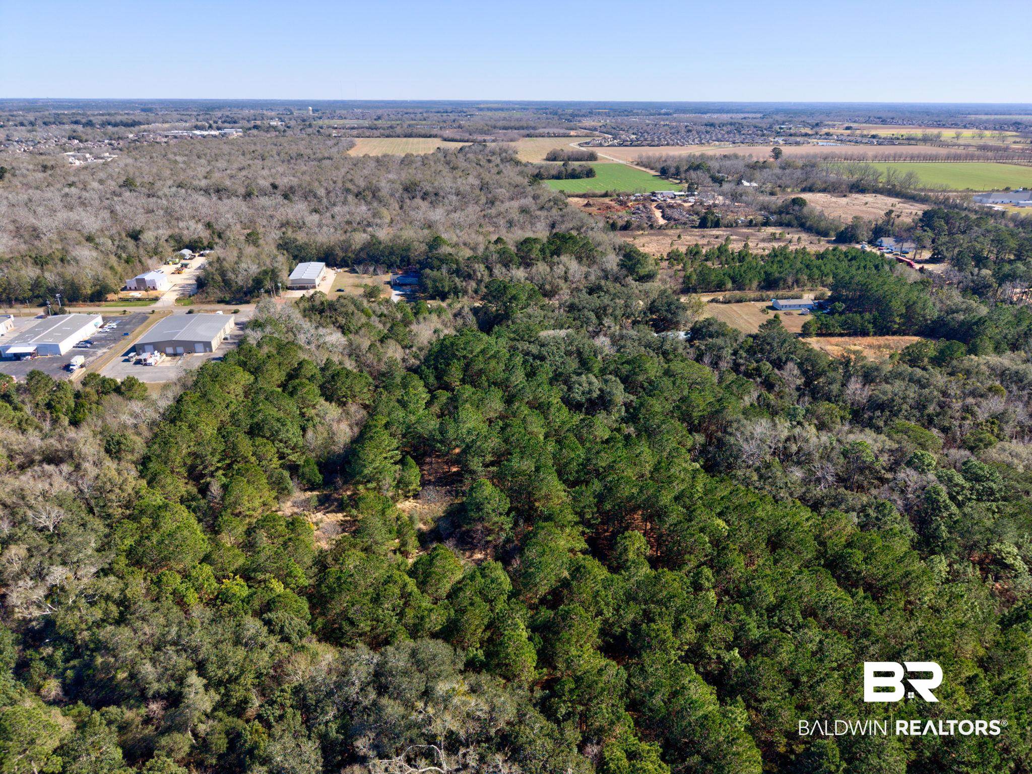 25280 Friendship Road Daphne, AL 36526 - Photo 21 of 34 Aerial overview of property's location with a forest