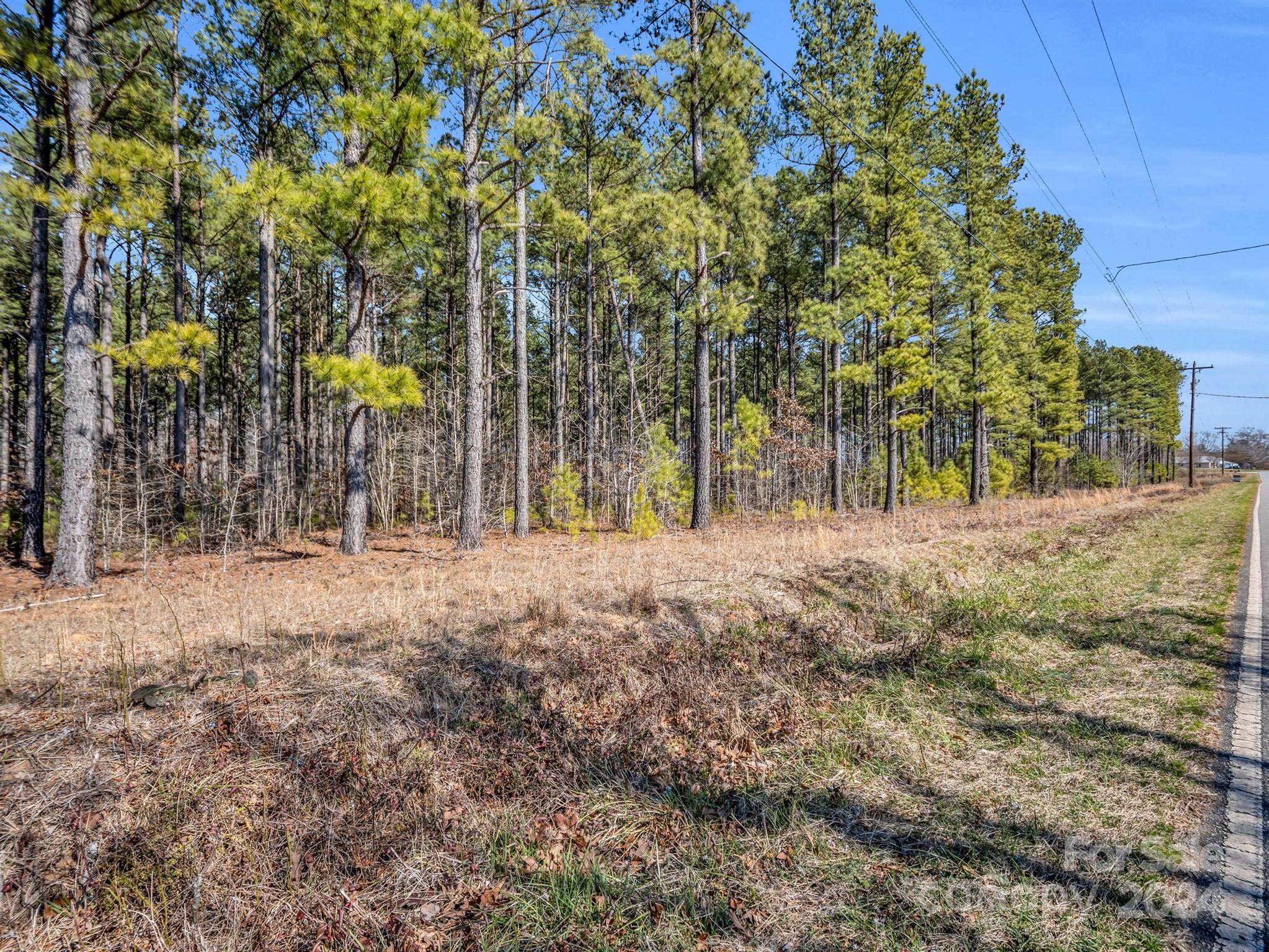 0 Chesnee Road Rutherfordton, NC 28139 - Photo 15 of 42 a view of outdoor space with trees