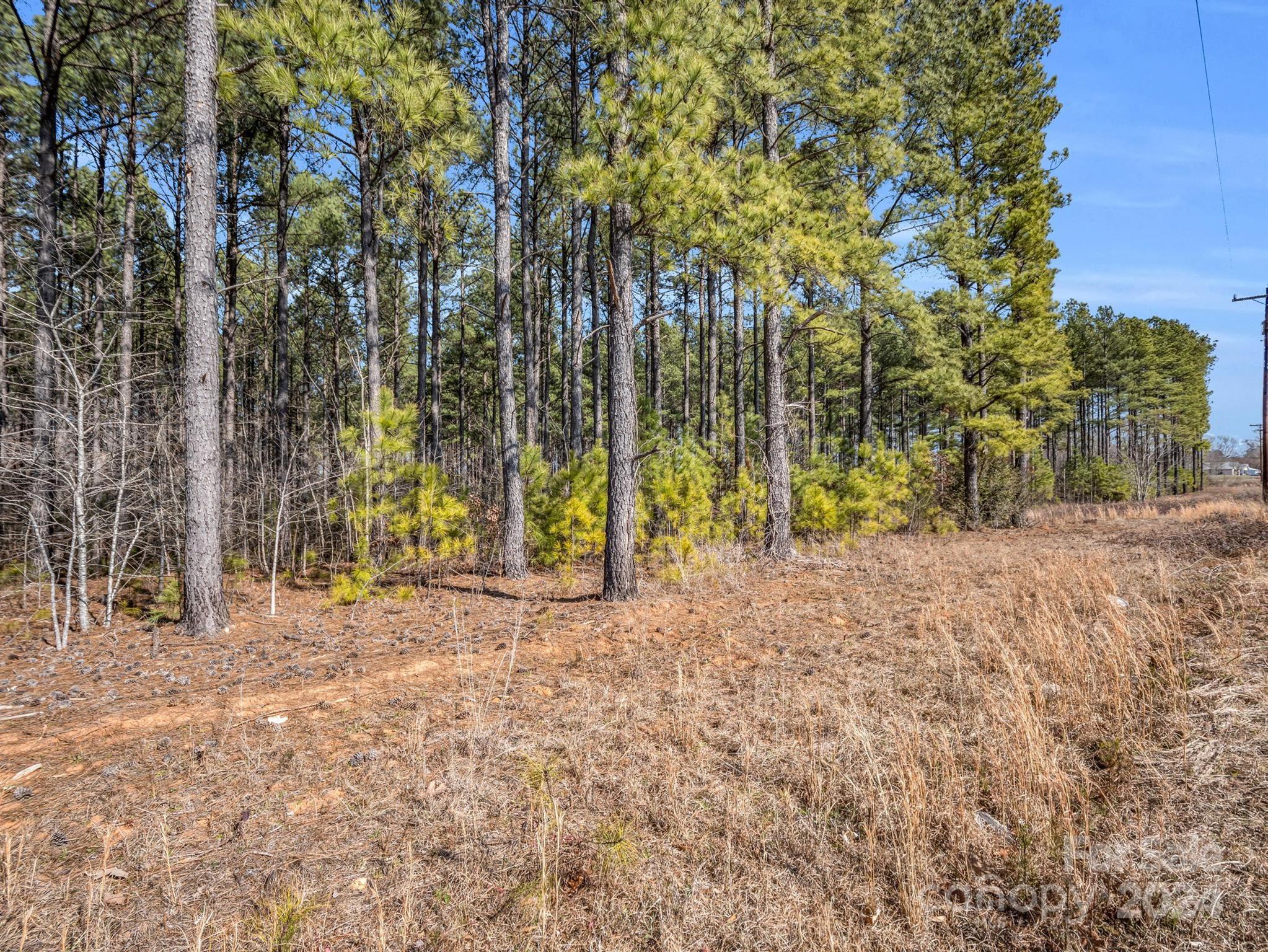 0 Chesnee Road Rutherfordton, NC 28139 - Photo 16 of 42 a view of road and trees