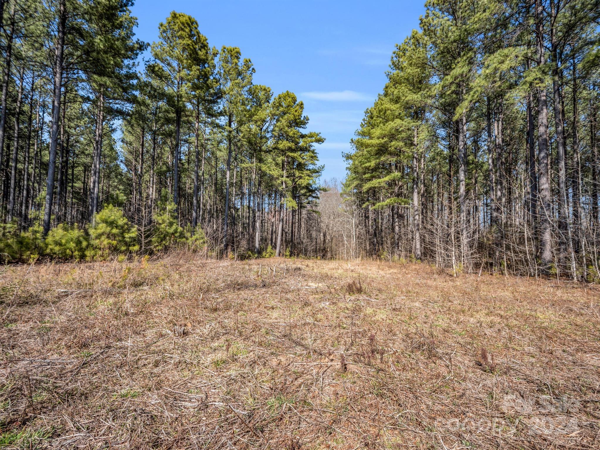 0 Chesnee Road Rutherfordton, NC 28139 - Photo 17 of 42 a backyard of a house with large trees
