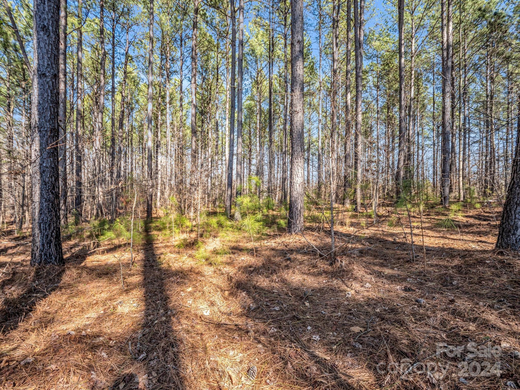 0 Chesnee Road Rutherfordton, NC 28139 - Photo 18 of 42 a view of outdoor space with trees