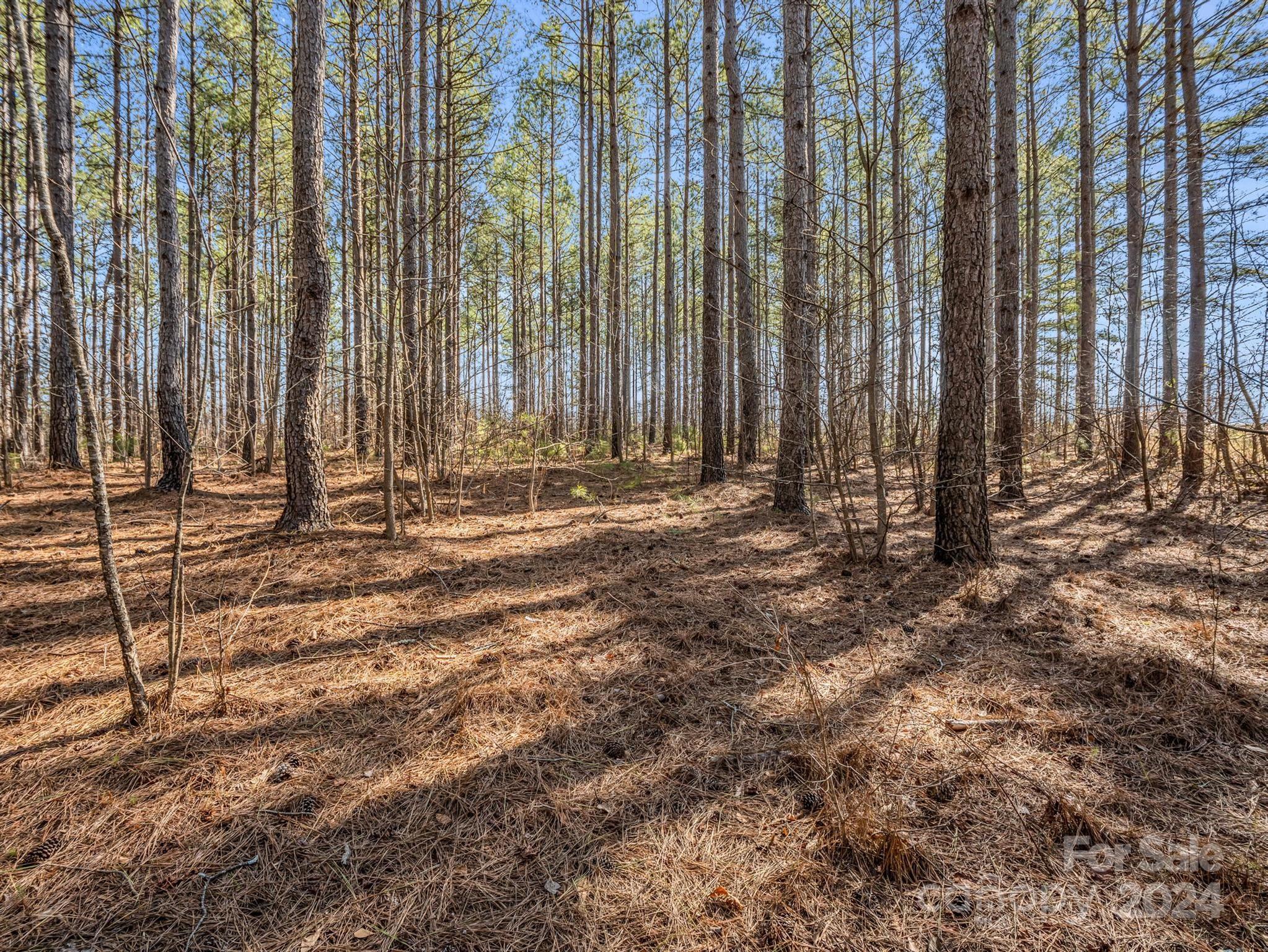 0 Chesnee Road Rutherfordton, NC 28139 - Photo 2 of 42 a view of outdoor space with wooden fence