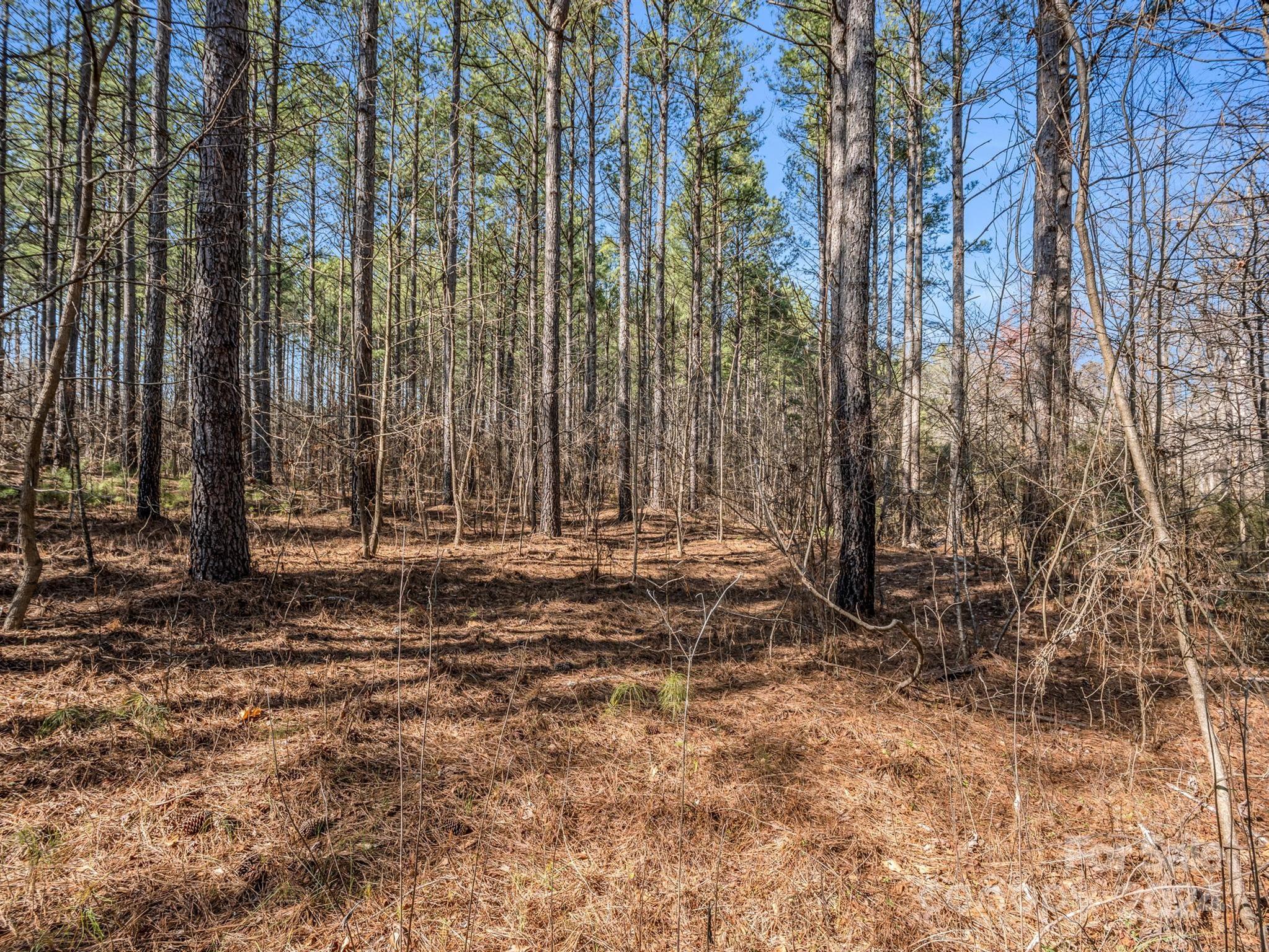 0 Chesnee Road Rutherfordton, NC 28139 - Photo 23 of 42 a view of a backyard with trees