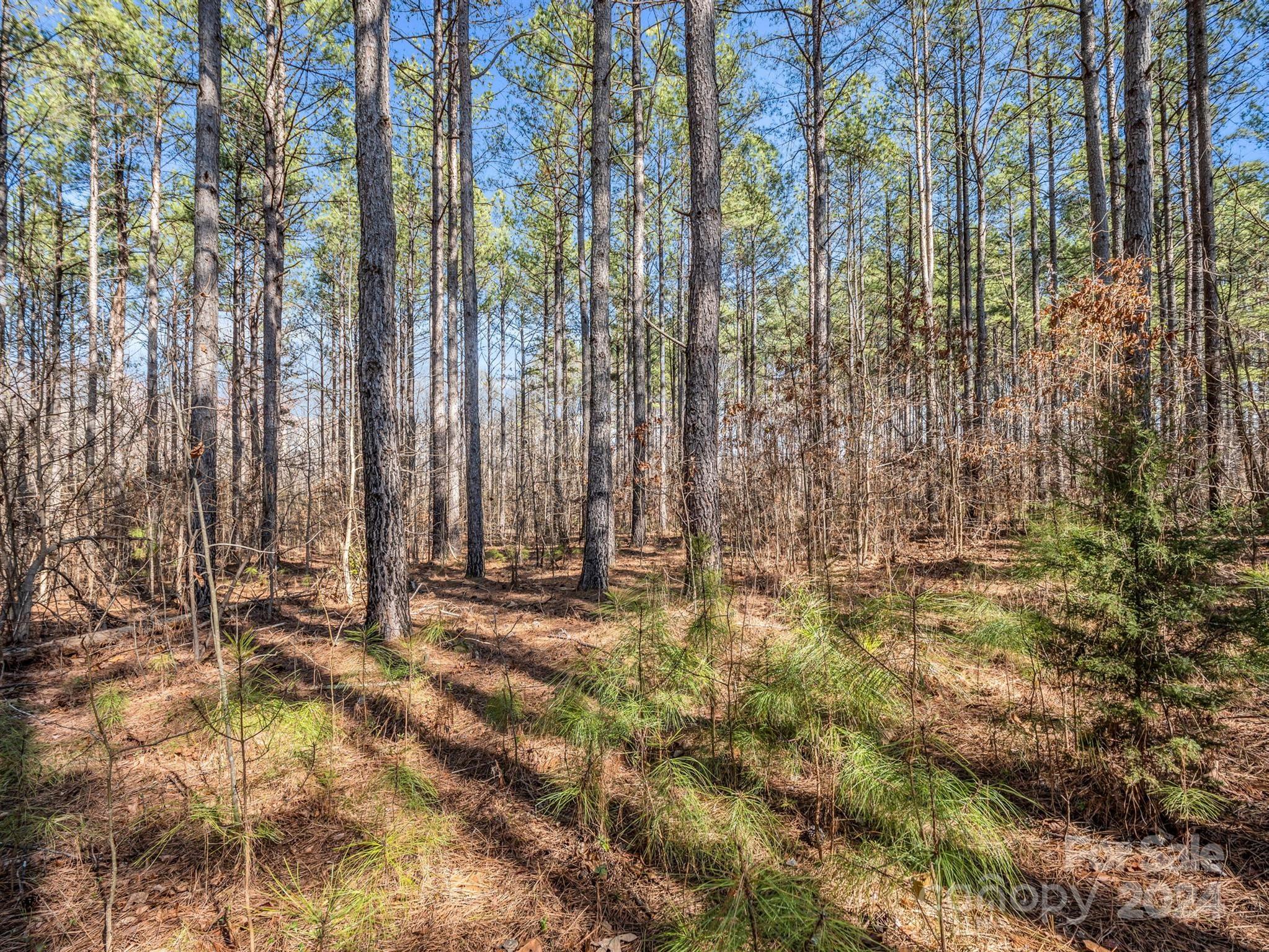 0 Chesnee Road Rutherfordton, NC 28139 - Photo 28 of 42