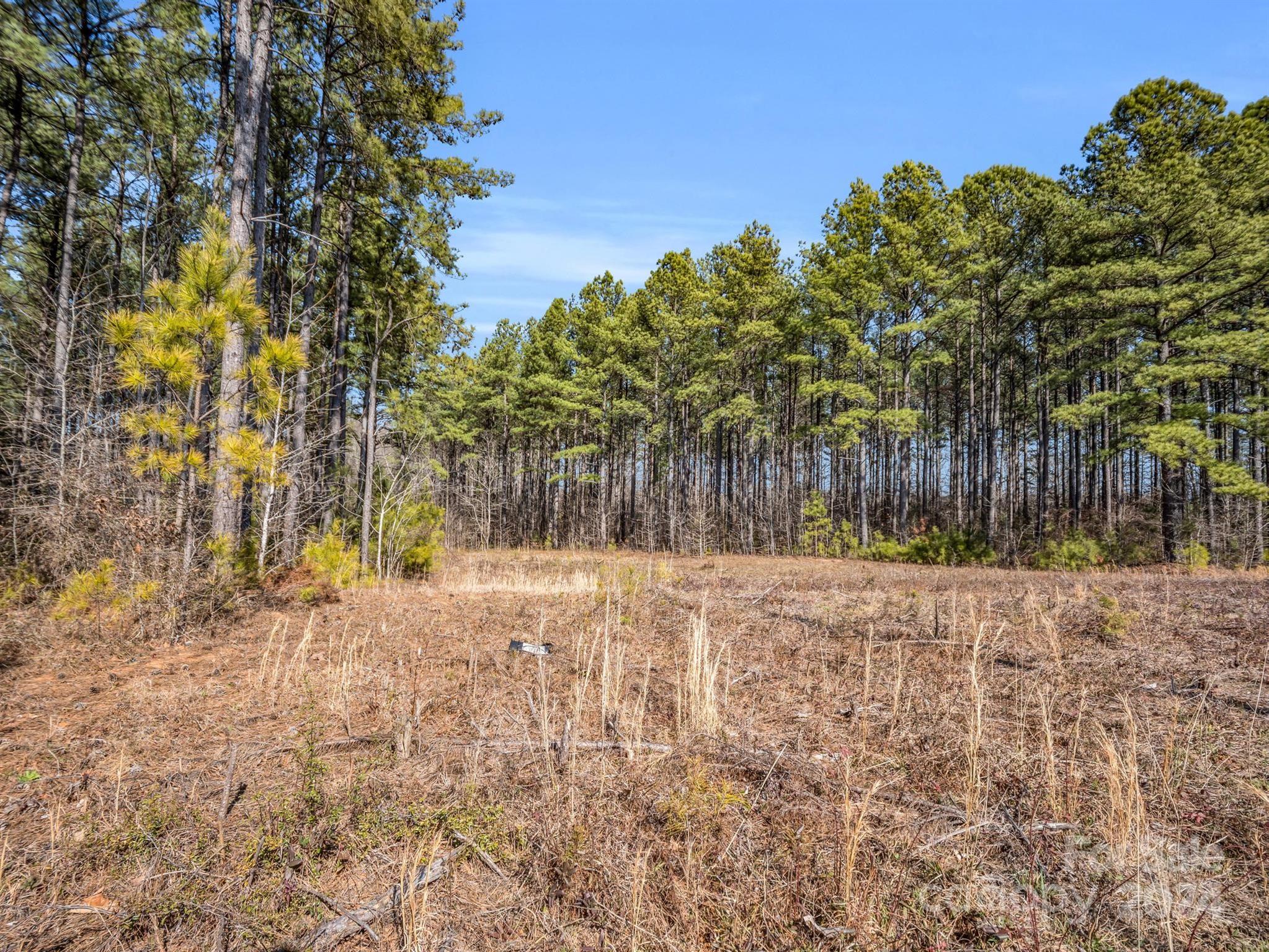 0 Chesnee Road Rutherfordton, NC 28139 - Photo 3 of 42 a view of a yard with trees