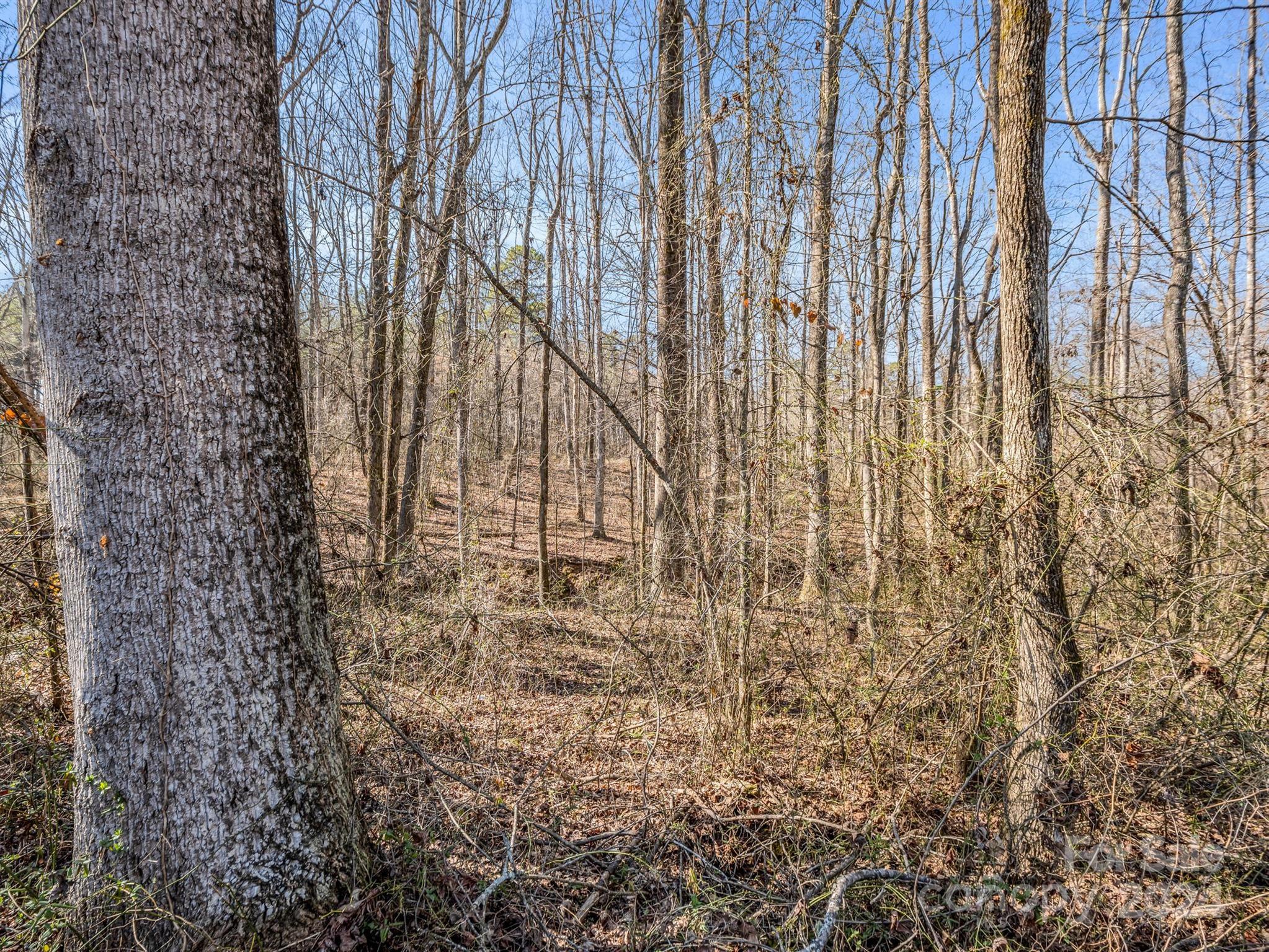 0 Chesnee Road Rutherfordton, NC 28139 - Photo 31 of 42