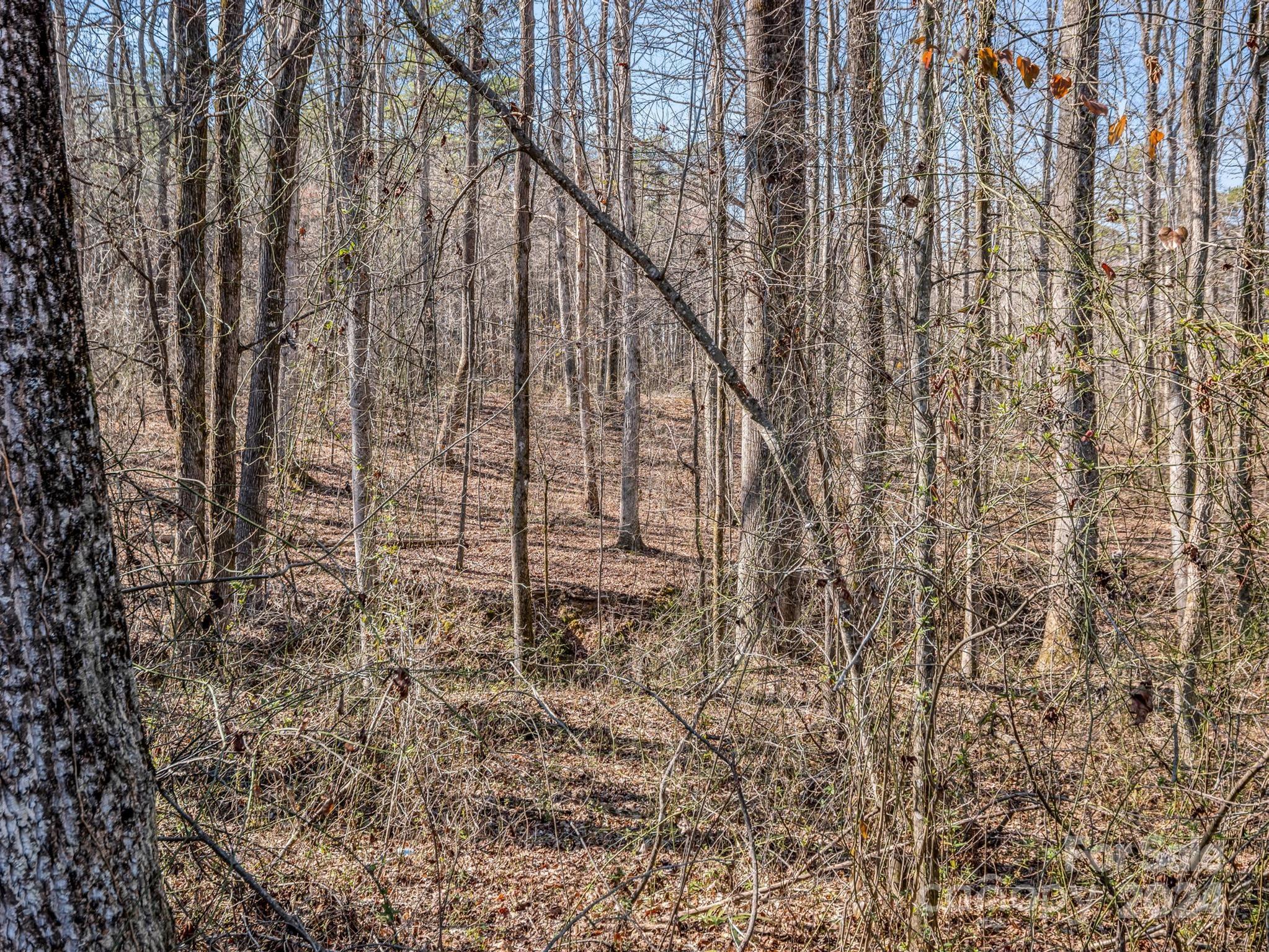 0 Chesnee Road Rutherfordton, NC 28139 - Photo 32 of 42
