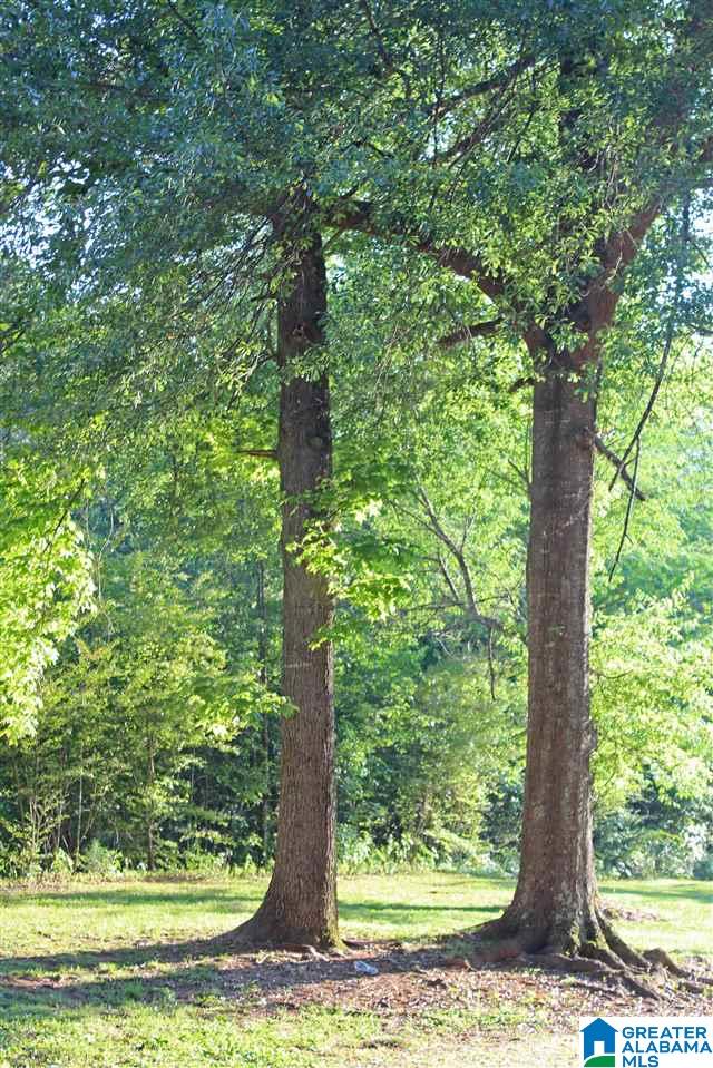 1066 Jamback Road Anniston, AL 36207 - Photo 33 of 33