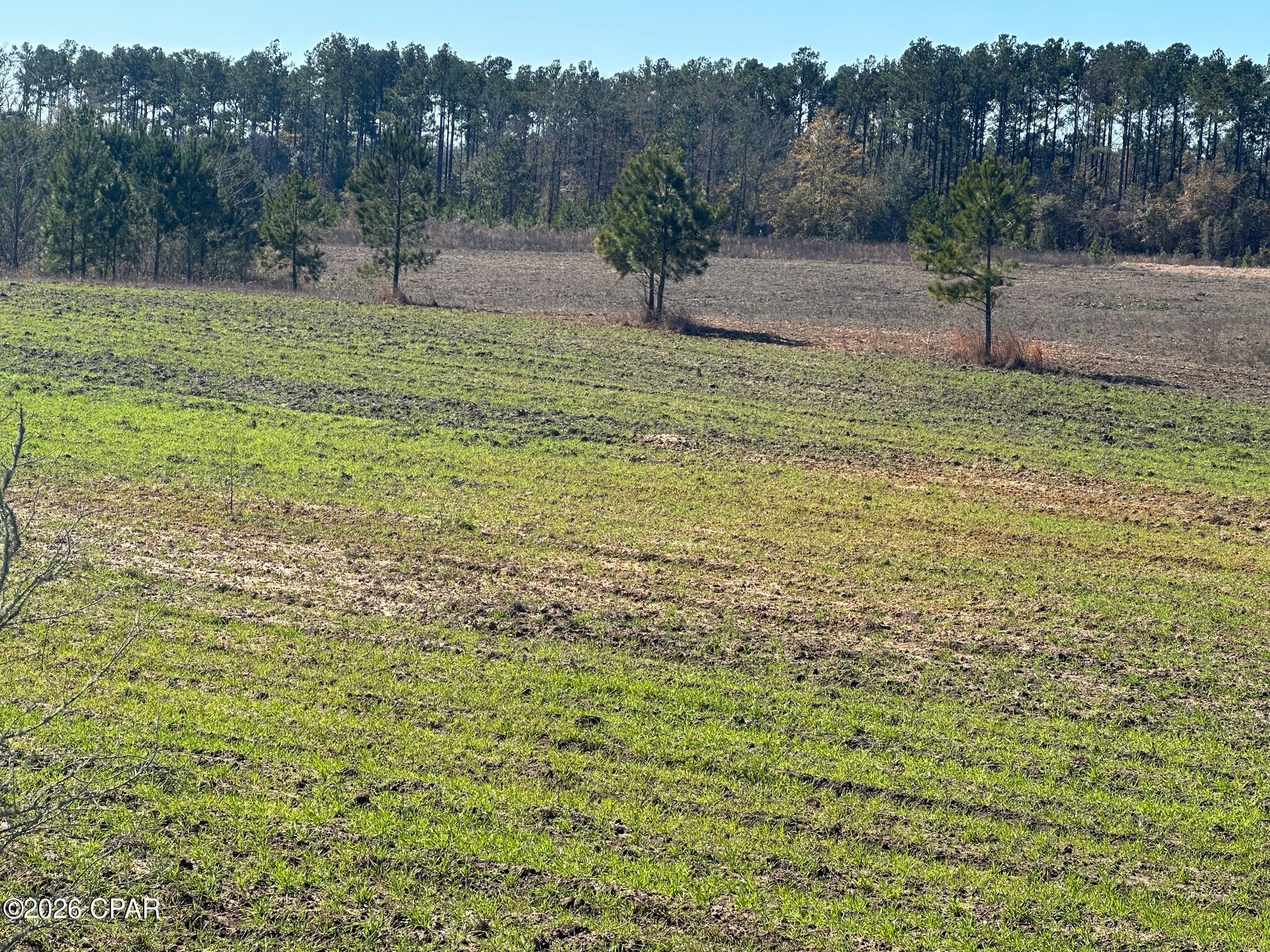 0 River Road Sneads, FL 32460 - Photo 20 of 23
