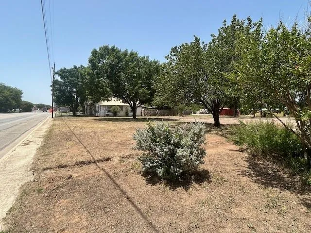 a view of park with trees