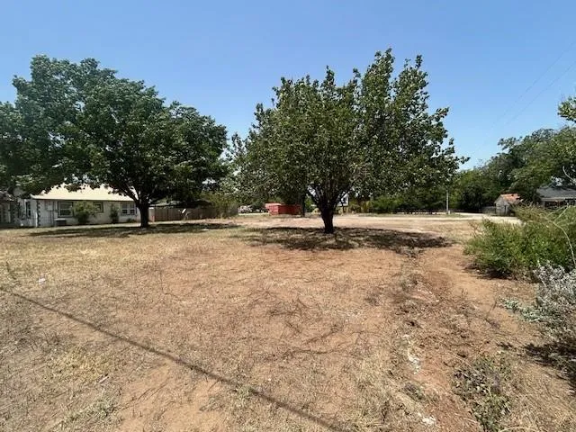 a view of empty space with large trees