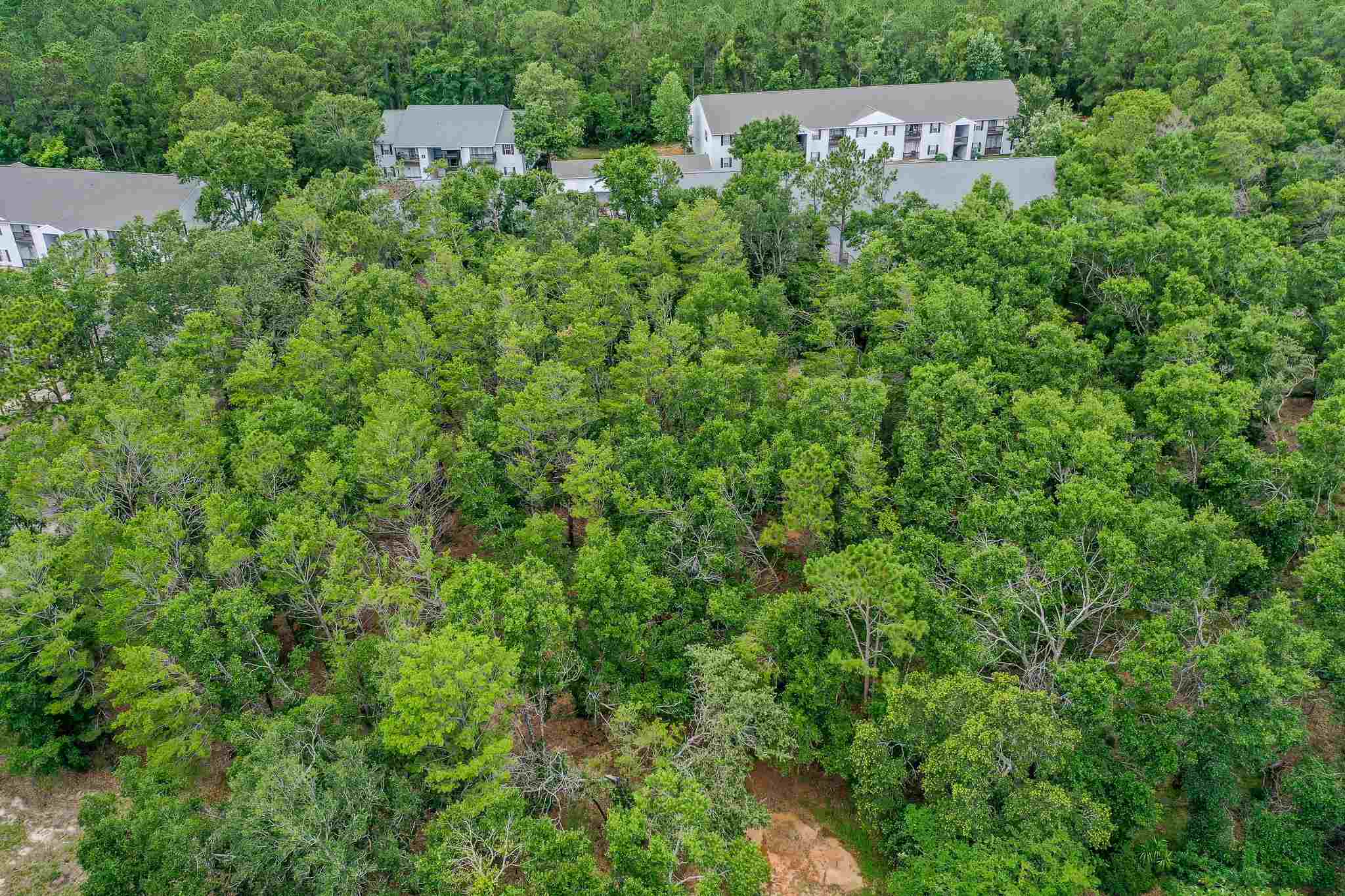320 West Fort Morgan Road Gulf Shores, AL 36542 - Photo 20 of 20