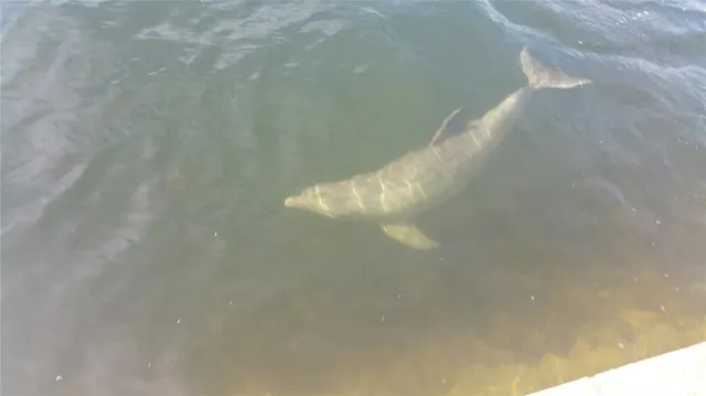 $2,500 | 5915 Sea Ranch Drive, Unit 509W, Hudson, FL 34667