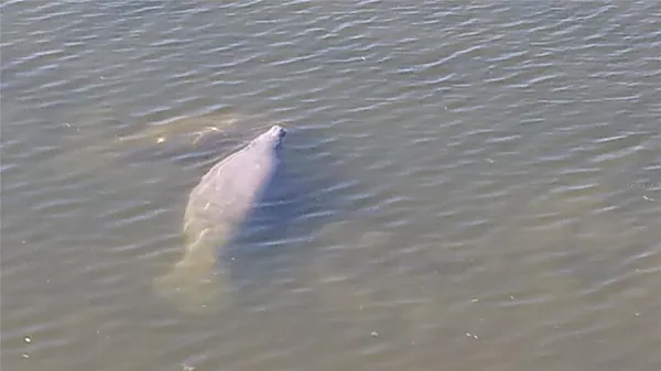 $4,000 | 5915 Sea Ranch Drive, Unit 509W, Hudson, FL 34667