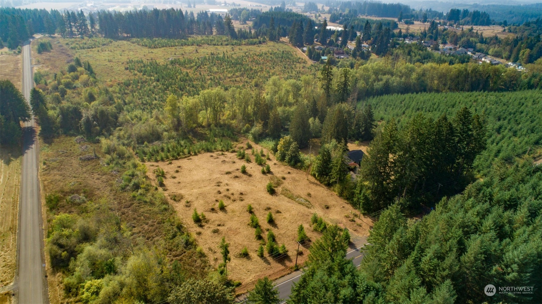 690 Nevil Road Winlock, WA 98596 - Photo 1 of 11 a view of a yard with a large trees