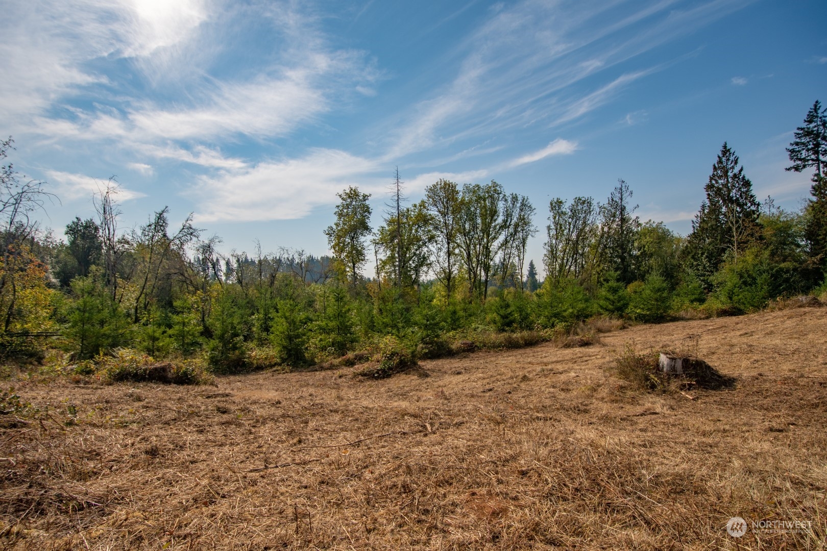 690 Nevil Road Winlock, WA 98596 - Photo 11 of 11 a view of a dry yard with trees