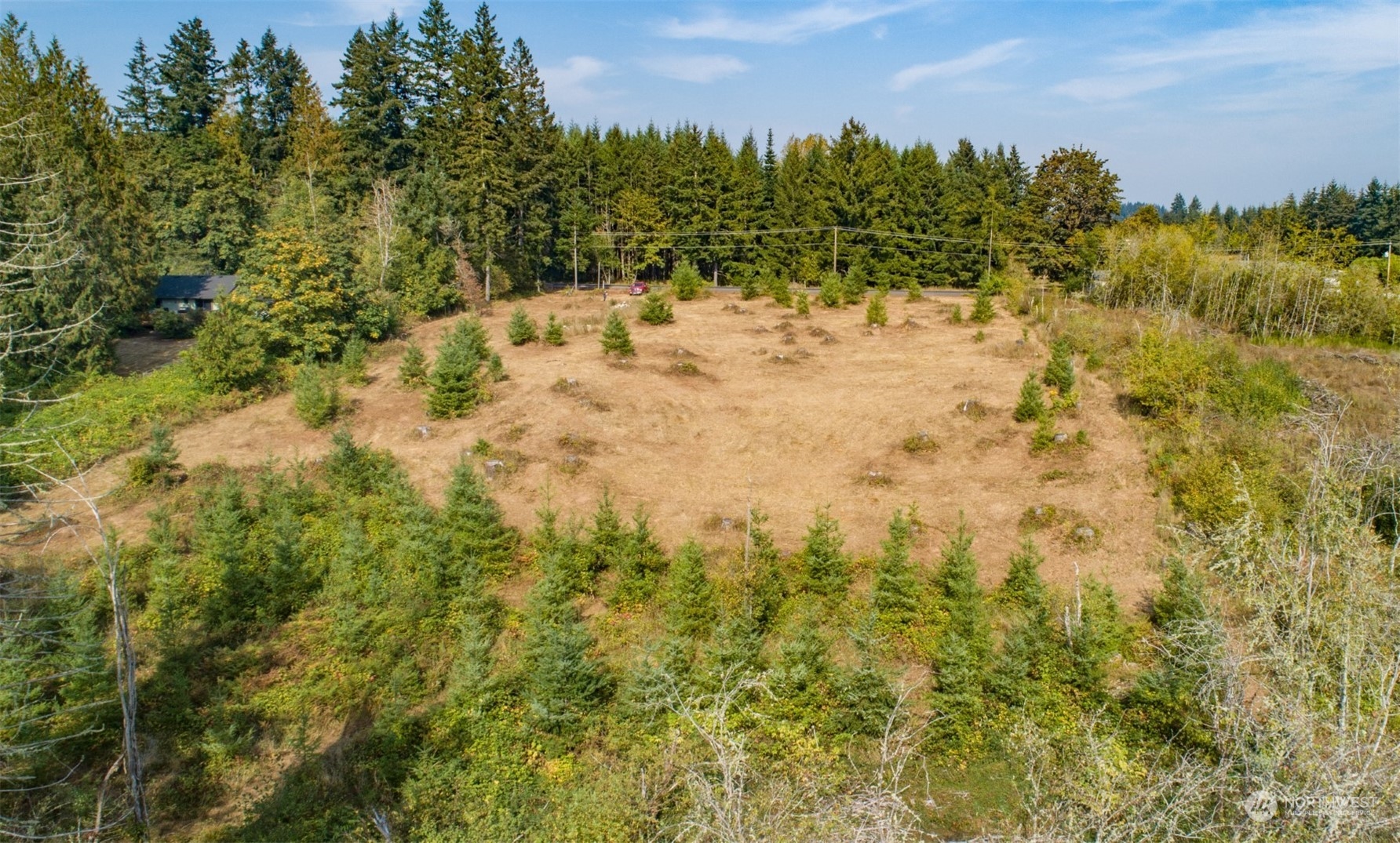 690 Nevil Road Winlock, WA 98596 - Photo 6 of 11 a view of a yard