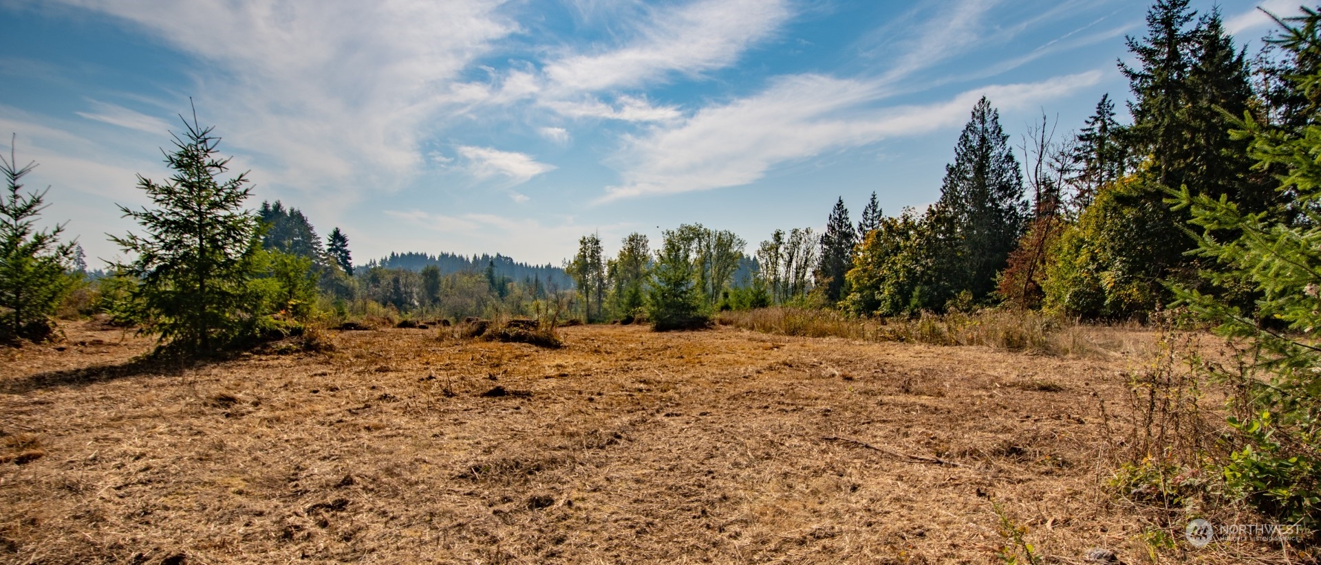690 Nevil Road Winlock, WA 98596 - Photo 7 of 11 a view of a dry yard with trees