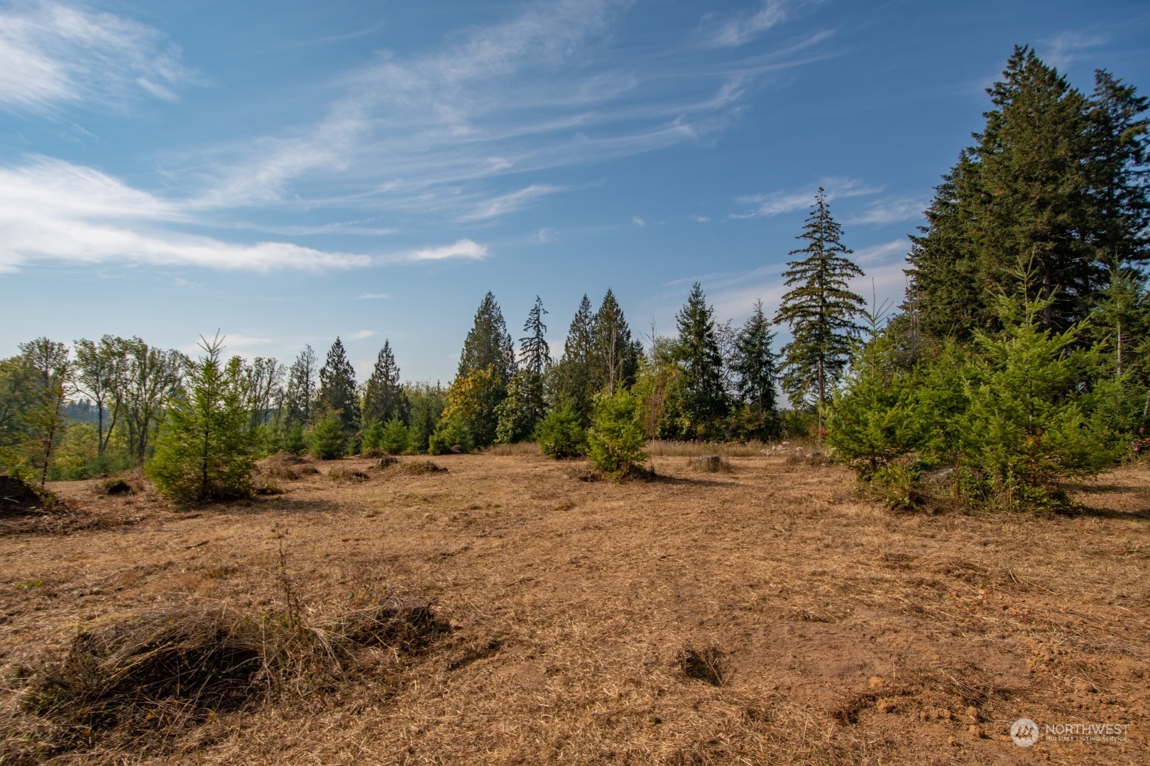690 Nevil Road Winlock, WA 98596 - Photo 9 of 11 a view of a dirt road with trees in the background