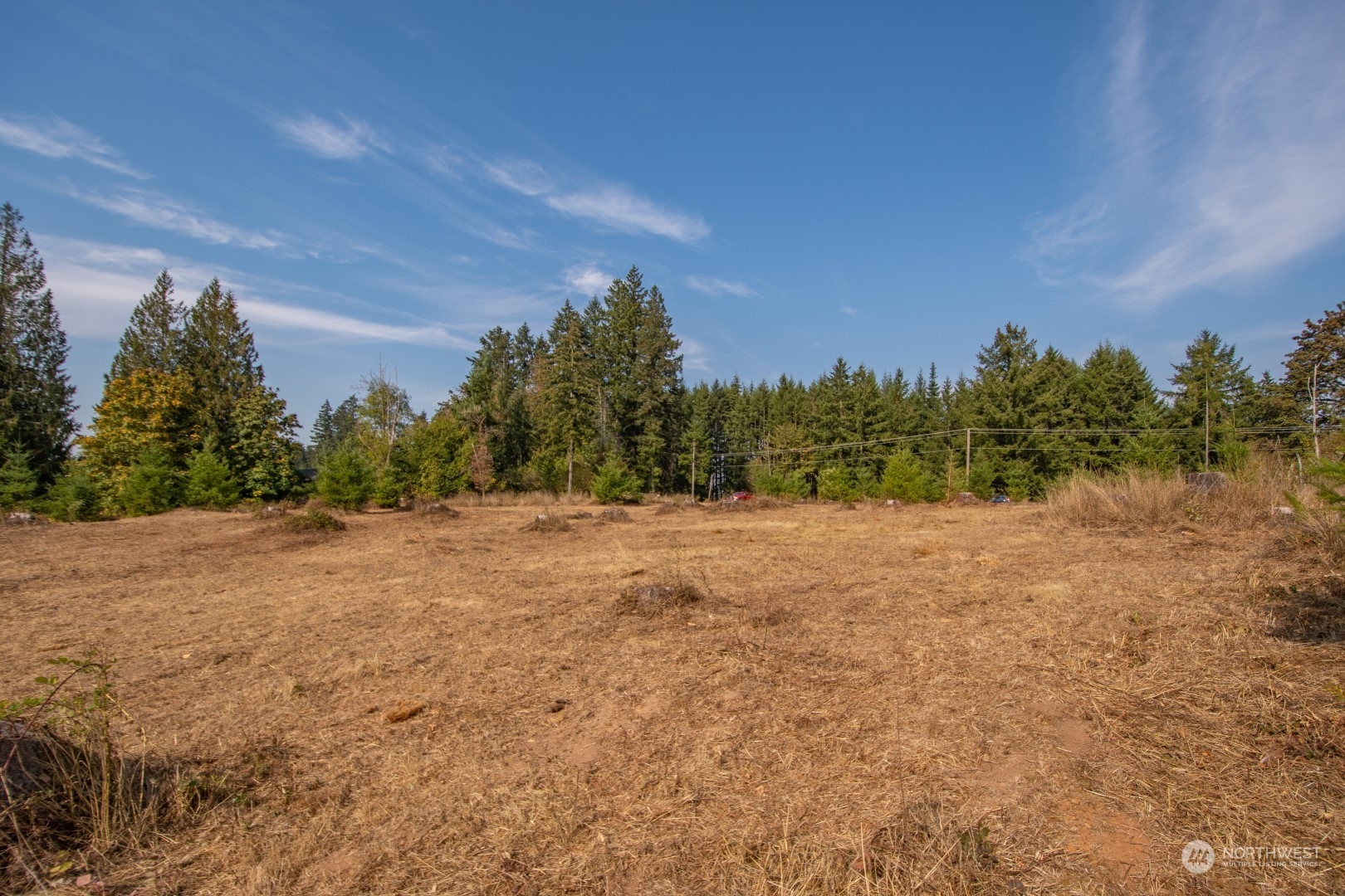 690 Nevil Road Winlock, WA 98596 - Photo 10 of 11 a big yard with large trees