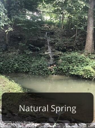1028 Stone House Ridge Road Bardstown, KY 40004 - Photo 79 of 81 Natural Spring!