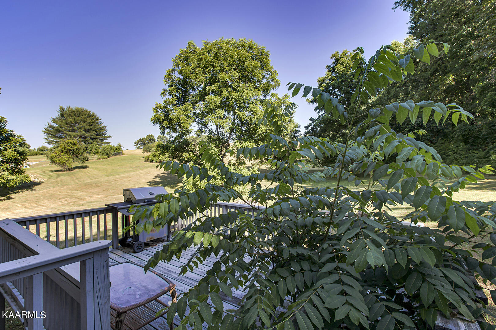 928 Davis Chapel Road La Follette, TN 37766 - Photo 29 of 33 29_DavisChapelRoad_928_Deck01