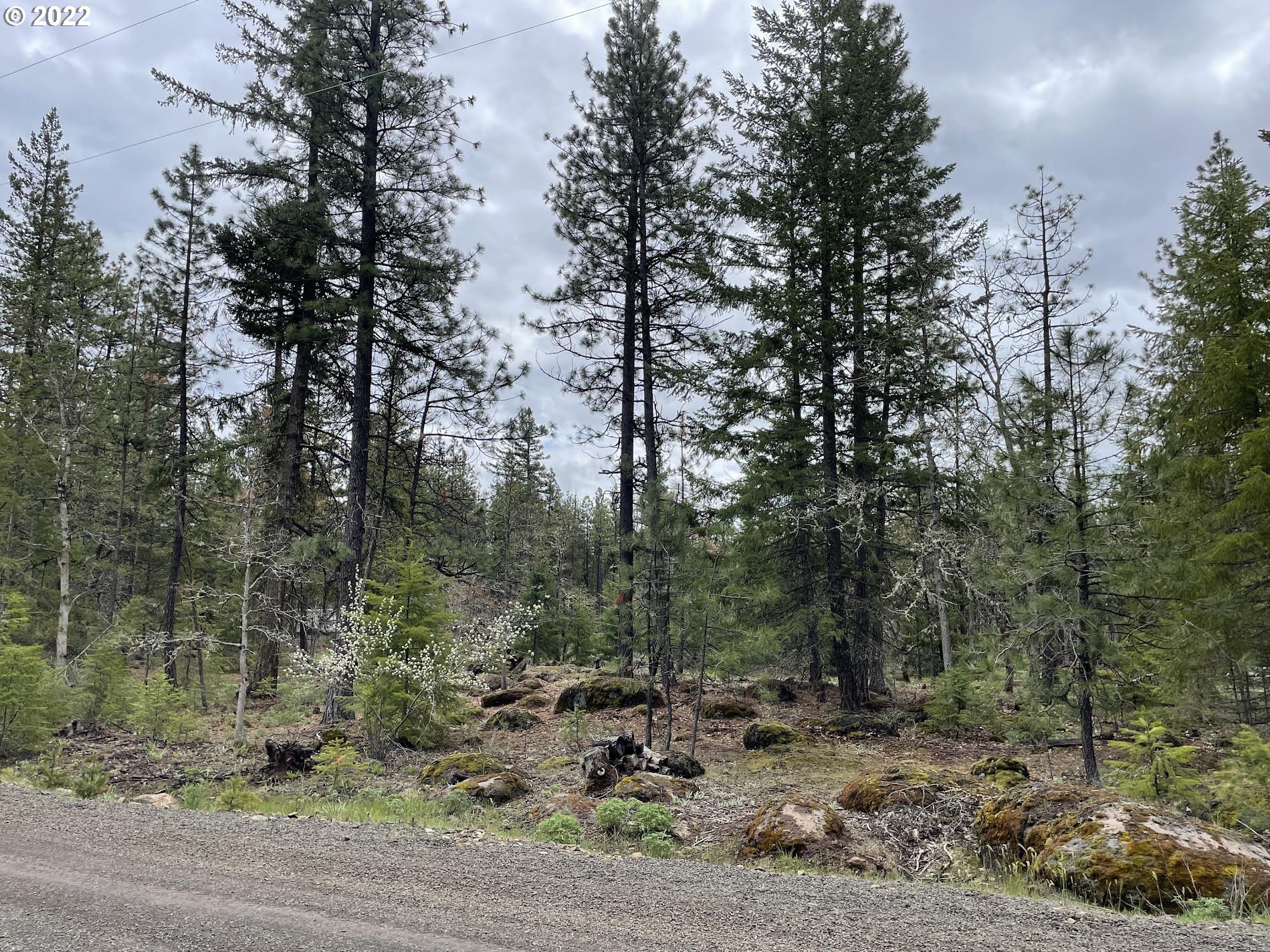 20 Weona Road Goldendale, WA 98620 - Photo 1 of 9 Gallery Image 1
