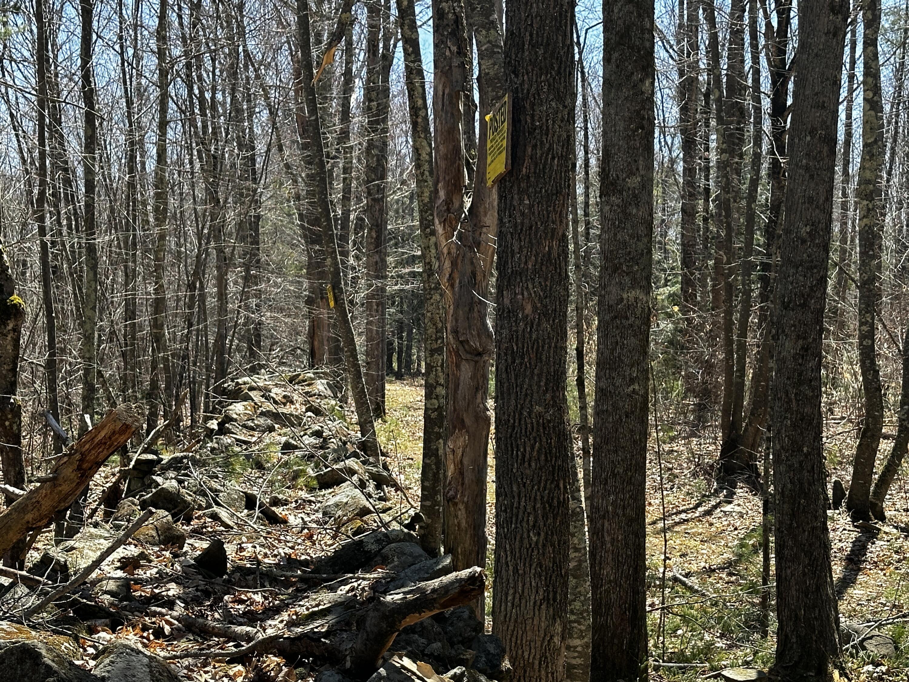 119 Lizotte Road Lebanon, ME 04027 - Photo 81 of 85 80
