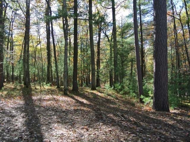 Lot 3 Streater Road Minocqua, WI 54548 - Photo 12 of 19 Gallery Image 12