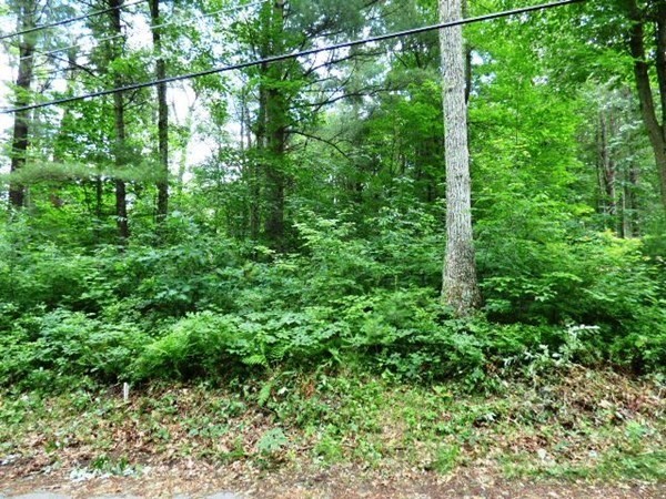 48 Stafford Road Wales, MA 01081 - Photo 2 of 5