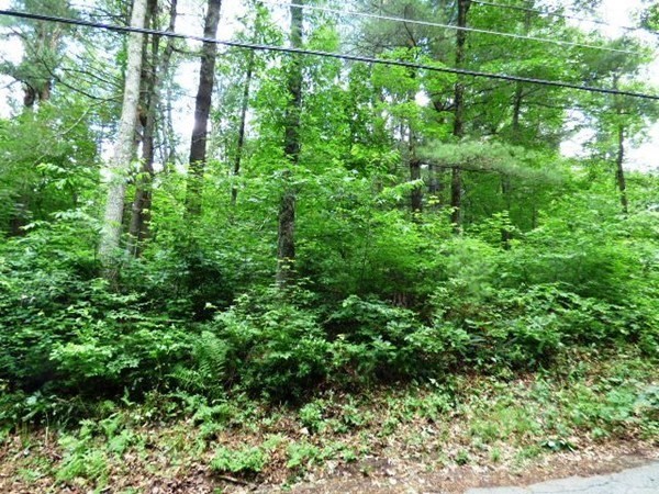48 Stafford Road Wales, MA 01081 - Photo 3 of 5