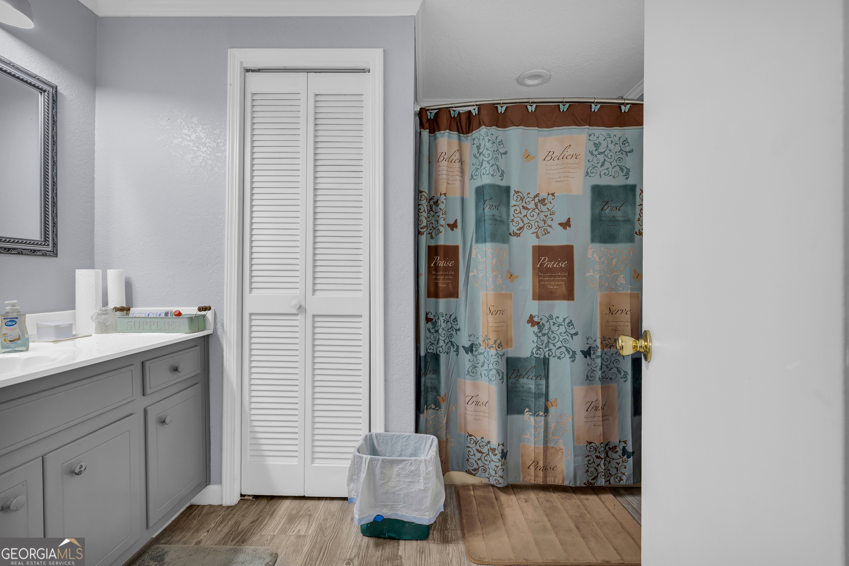 88 Maurice Way Lavonia, GA 30553 - Photo 29 of 65 a bathroom with a shower and a sink