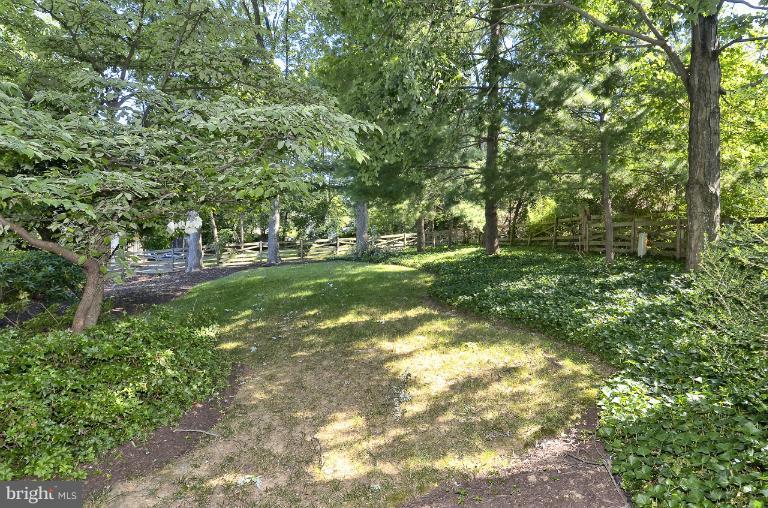 8018 Falstaff Road McLean, VA 22102 - Photo 23 of 26 Backyard