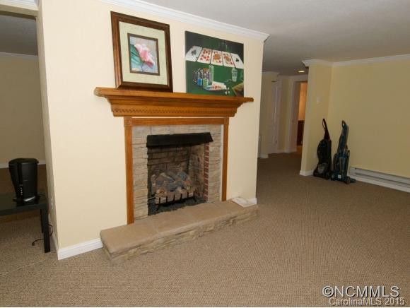 119 Willow Road Waynesville, NC 28786 - Photo 4 of 24