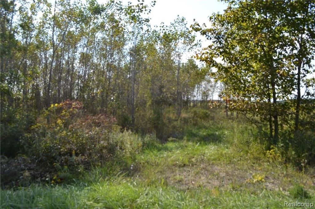 9400 South Nichols Road Gaines, MI 48436 - Photo 1 of 7 Gallery Image 1