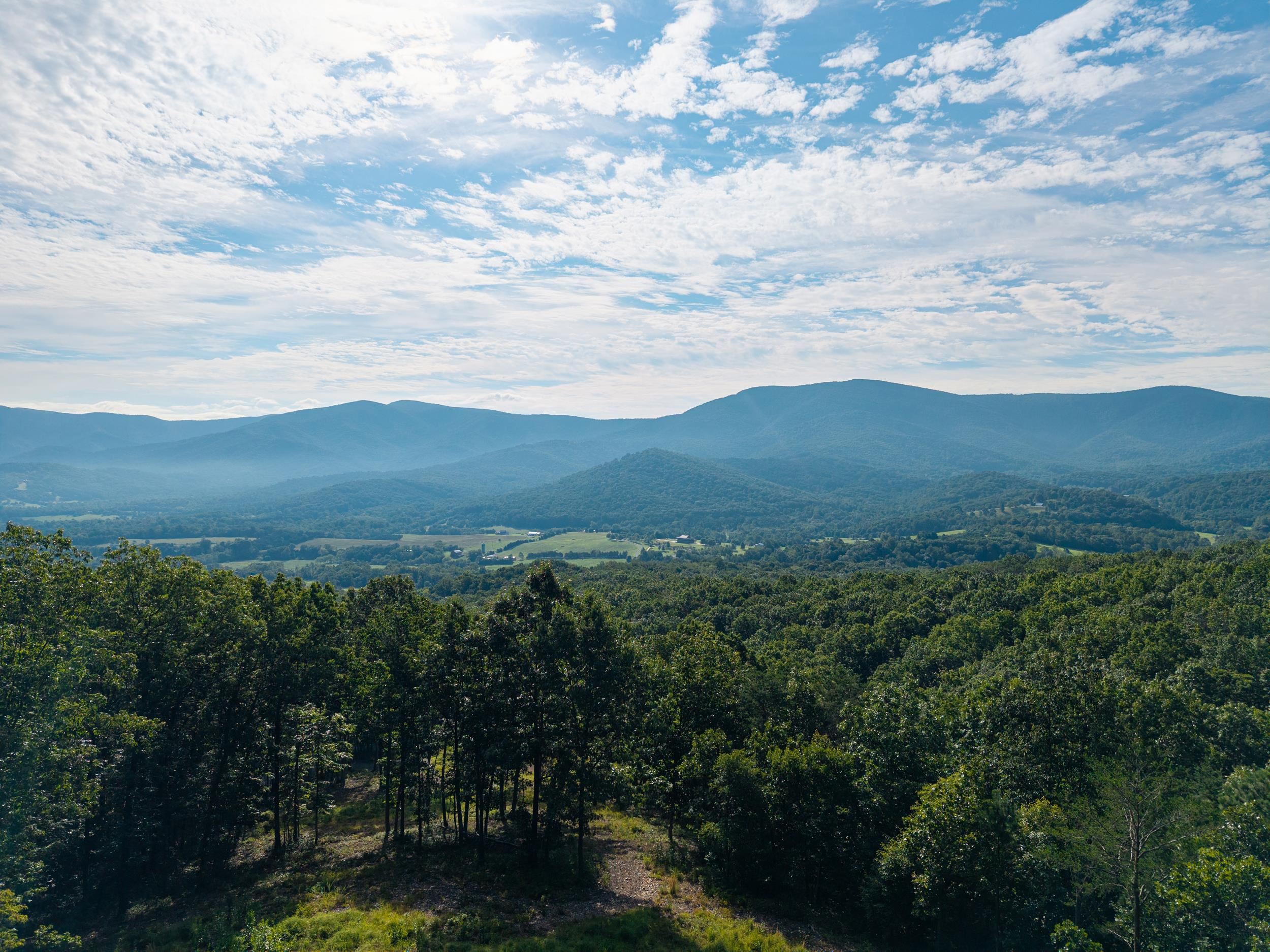 0 Roundhead Mountain Road Stanley, VA 22851 - Photo 37 of 43 Gallery Image 37