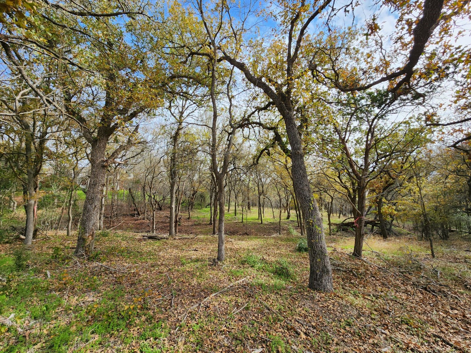 Tbd Post Oak Rim Bastrop, TX 78602 - Photo 1 of 1