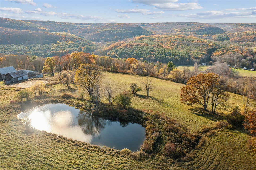 197 Earles Road Broome, NY 12122 - Photo 28 of 29